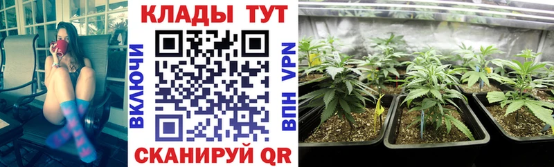Где найти наркотики Пыталово Марихуана  COCAIN  Гашиш  Меф 