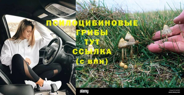 МДПВ Пересвет