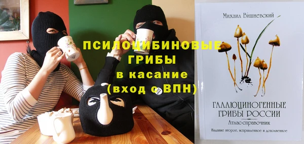 a pvp Пестово