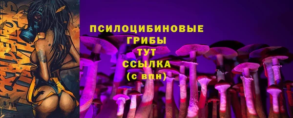 МДМА Осташков