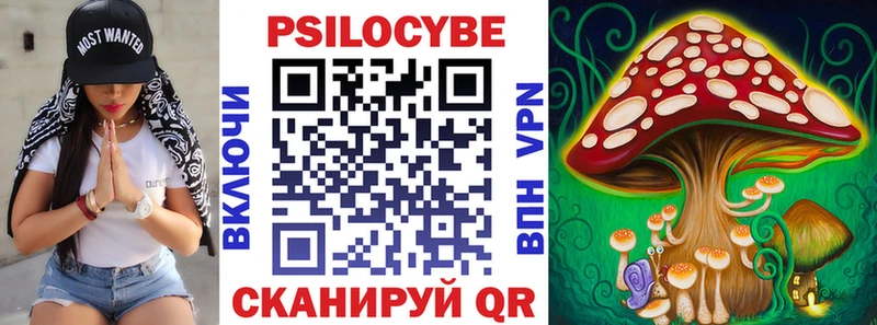 хочу   Пыталово  Псилоцибиновые грибы мухоморы 